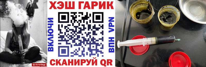 Купить закладки  Гудермес  ГАШИШ индика сатива 