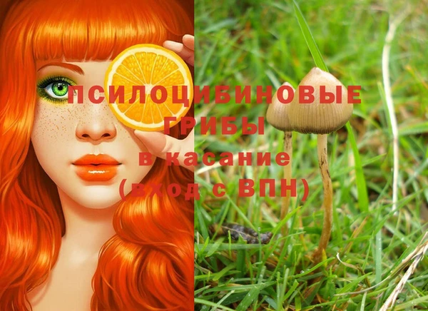 MDMA Инсар