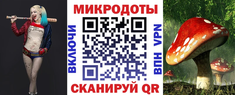 Купить где  Гудермес  Галлюциногенные грибы мухоморы 